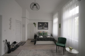 Beautiful newly refurbished studio,fully equipped apartment walking distance to the City Park where you will find the world famous Szechenyi thermal bath spa, Museums , and the Capital Circus , AC, sm